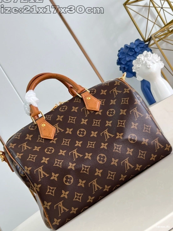 30 Speedy Soft Vuitton Boho Louis 0105
